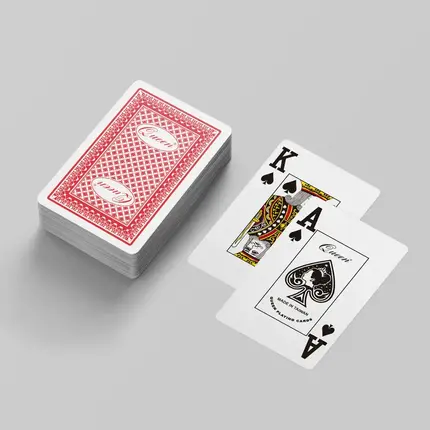 賭場規格塑膠撲克牌 - 大字體 橋牌尺寸 - 雙副裝